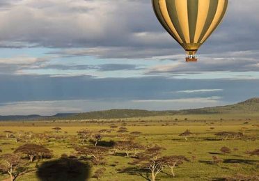 serengeti-balloon-safari